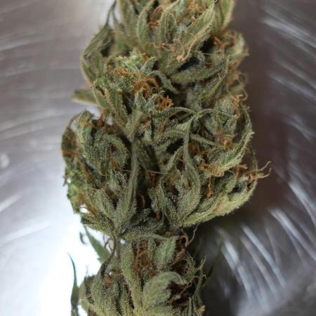 Strawberry Banana Auto - Outdoor