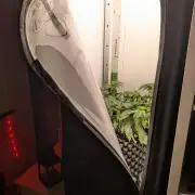 Hindu Kush | VGrow - Advanced Nutrients