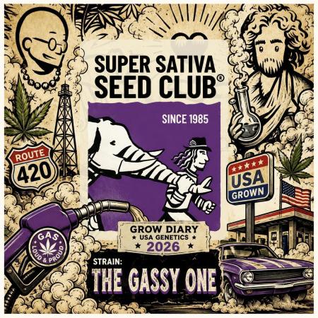 The Gassy One ● F027 ● SSSC ● Contest 26