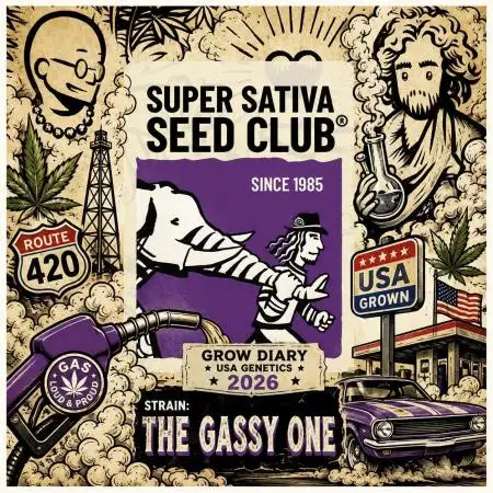 The Gassy One ● F027 ● SSSC ● Contest 26
