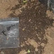 FreakyStuff#3