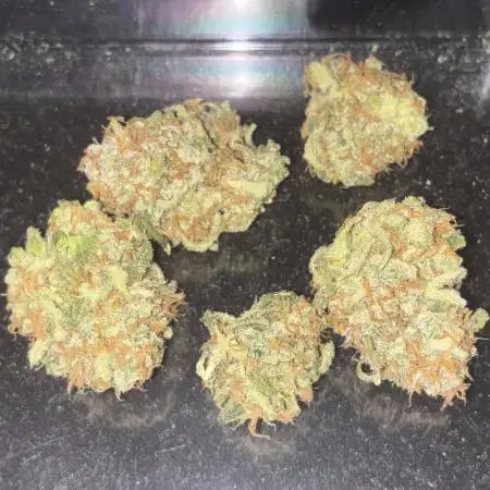Pound Cake Auto