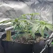 the most training I've ever done