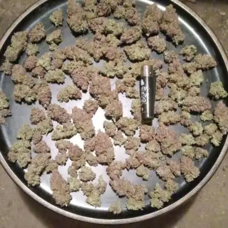 .....