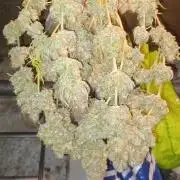 Wedding cake rQs