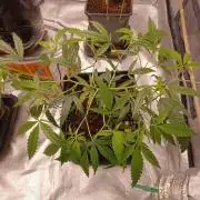 Vers l'inconnu et au-delà..