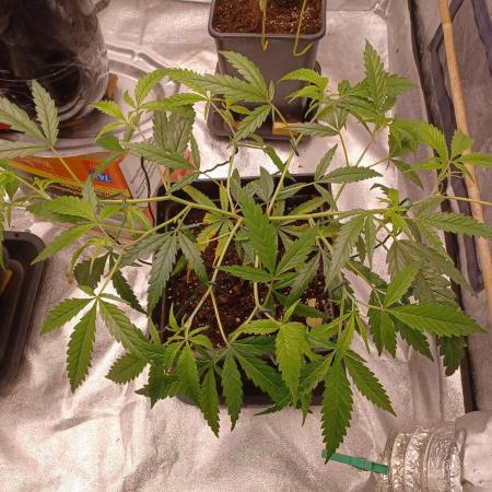 Vers l'inconnu et au-delà..