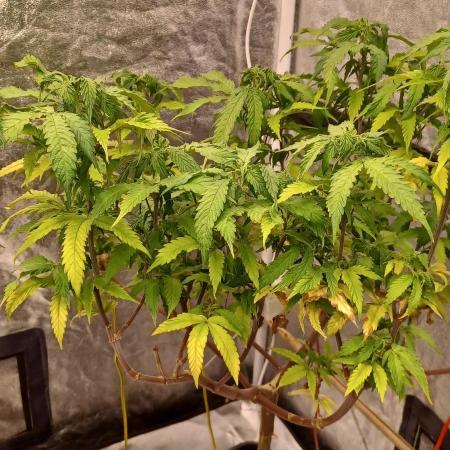 Vers l'inconnu et au-delà..