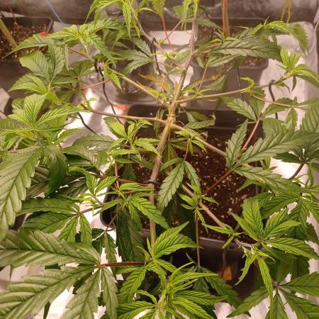 Vers l'inconnu et au-delà..