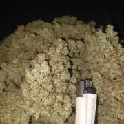 Mimosa & Kush ... RQS