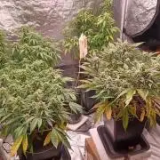 Vers l'inconnu et au-delà..