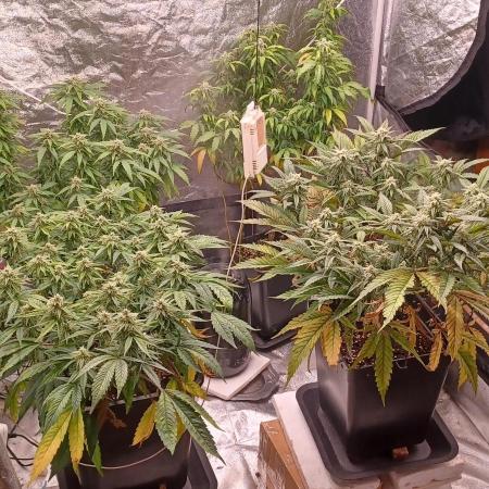 Vers l'inconnu et au-delà..