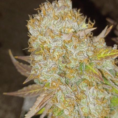 Wedding cake rQs
