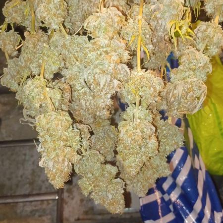 Wedding cake rQs