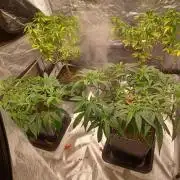 Vers l'inconnu et au-delà..