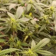 Vers l'inconnu et au-delà..