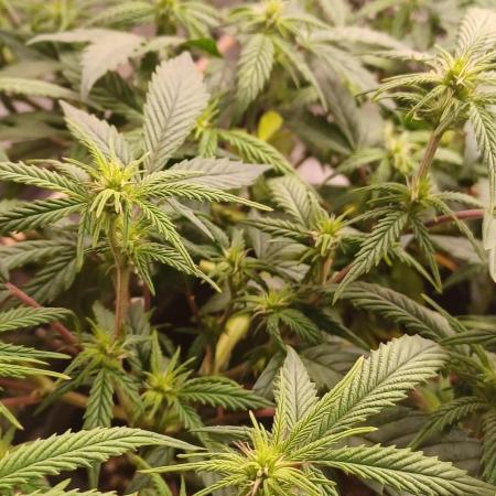 Vers l'inconnu et au-delà..