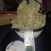 Mimosa & Kush ... RQS