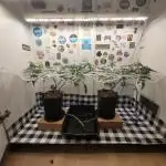 small closet