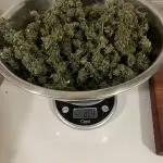 1st Grow - Indoor to Outdoor (Zone 10a)