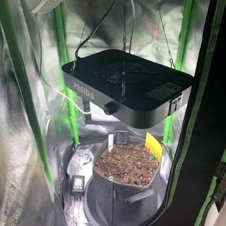 my first grow