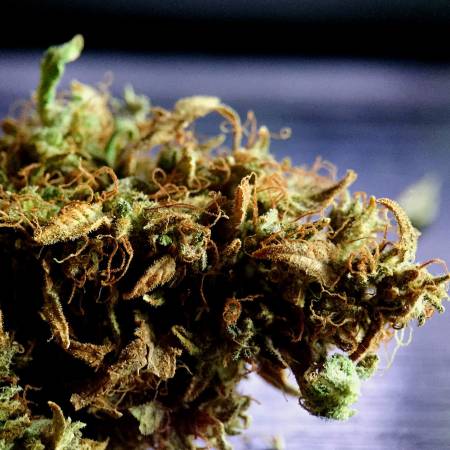 3M • Beldia Kif - Sativa ON