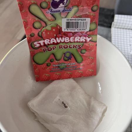 Strawberry Pop Rocks