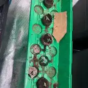 Black Bomb Auto