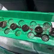 Black Bomb Auto