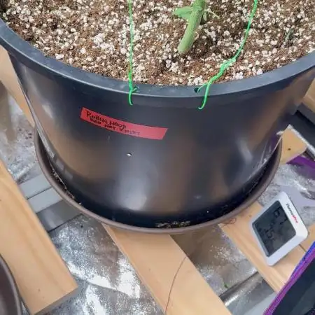 Auto/ Photo Grow