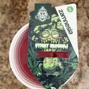 Zamnesia Grow Cup 2026 Sticky Broccoli