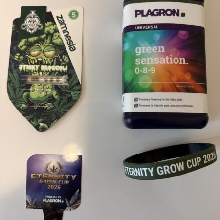 Zamnesia Grow Cup 2026 Sticky Broccoli