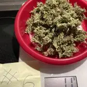 Auto Malawi x NL