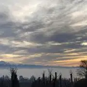 Winterexperiment ❄️☃️🔬🤓