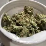 Auto Malawi X Northern Lights