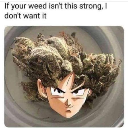 Permanent Marker von Hanfgartenshop.de