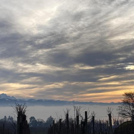 Winterexperiment ❄️☃️🔬🤓