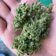 Wedding Cake Auto 💍🍰🚗