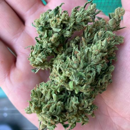 Wedding Cake Auto 💍🍰🚗