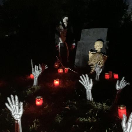 Cap Junky von Hanfgartenshop