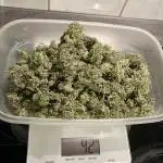 Cap Junky von Hanfgartenshop