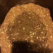 Cherry Pie-100% Controlled Nights Only