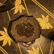 Biscotti- 100% controlled nights only