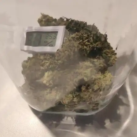 White Label Super Skunk Automatic