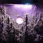 Der 2. Run ! .........die 2. !!!