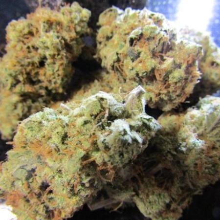 Crackers von Super Strains