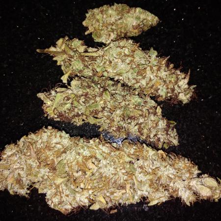 Der 2. Run ! .........die 2. !!!