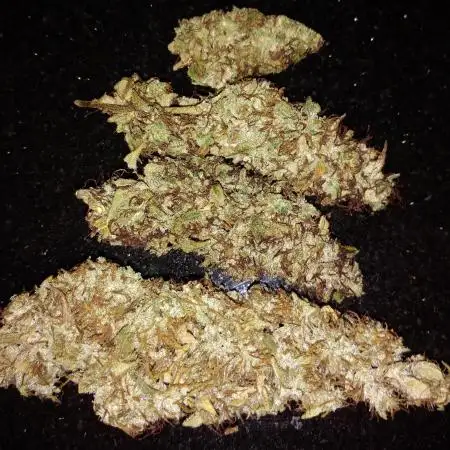 Der 2. Run ! .........die 2. !!!