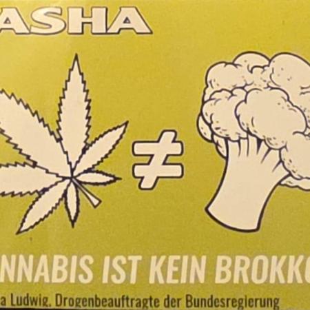 Eternity Grow Cup 2026