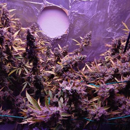 Der 2. Run ! .........die 2. !!!